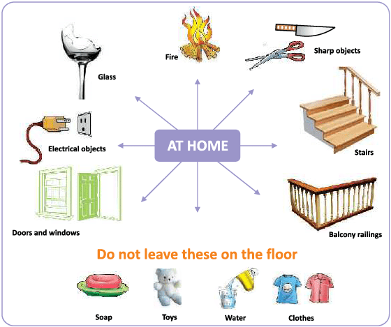 Being Safe Class 1 Notes Science