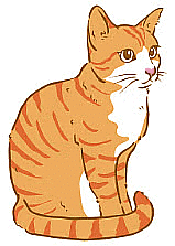 Notes: Animals - Their Babies, Sounds and Groups | English Olympiad for Class 3