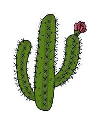 Worksheet: The Plant Fairy - 2 | EVS for Class 3