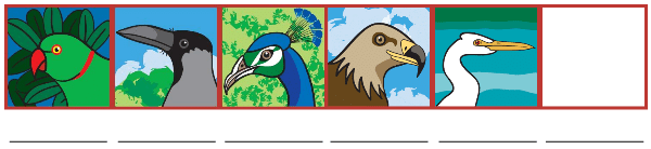 Flying High NCERT Solutions | EVS for Class 3