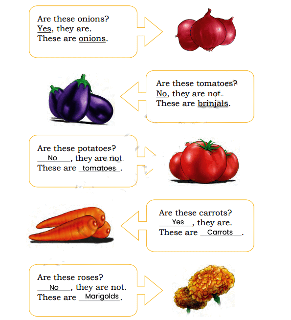 Fun with Pictures NCERT Solutions | English for Class 1 (Mridang)