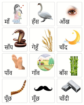 Worksheet Solutions: थाथू और मैं | Worksheets with solutions for Class 2