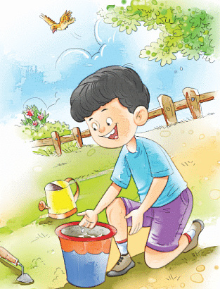 Summary: बीज | Hindi for Class 2 (सारंगी)