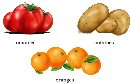 Fun with Pictures NCERT Solutions | English for Class 1 (Mridang)