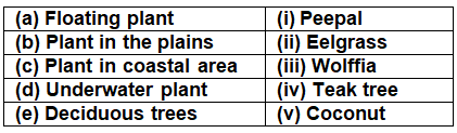 Class 4 Science - Adaptations in Plants - CBSE Worksheets Solutions - 1