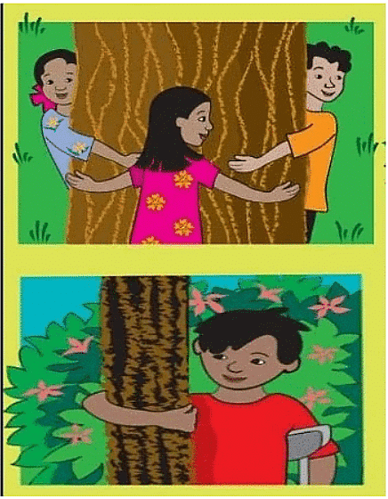 Worksheet Solutions: The Plant Fairy - 1 | EVS for Class 3