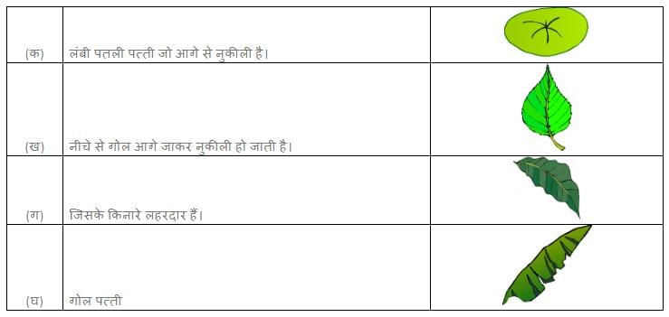 सबसे अच्छा पेड़ NCERT Solutions | Hindi for Class 3