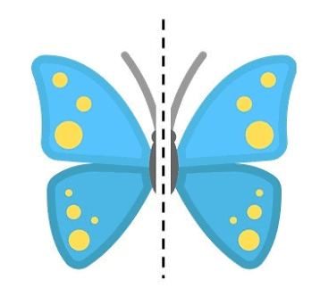 Class 4 Maths Worksheet Solutions Chapter 11 Fun with Symmetry