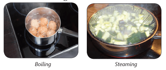 Food - Our Basic Need Class 4 Notes Science