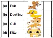 Worksheet: One Little Kitten/Lalu and Peelu - 1