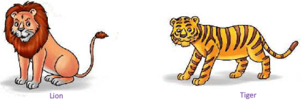 Animals Around Us Class 1 Notes EVS