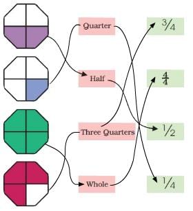 NCERT Solutions for Class 4 Maths - Chapter 9 - Halves And Quarters