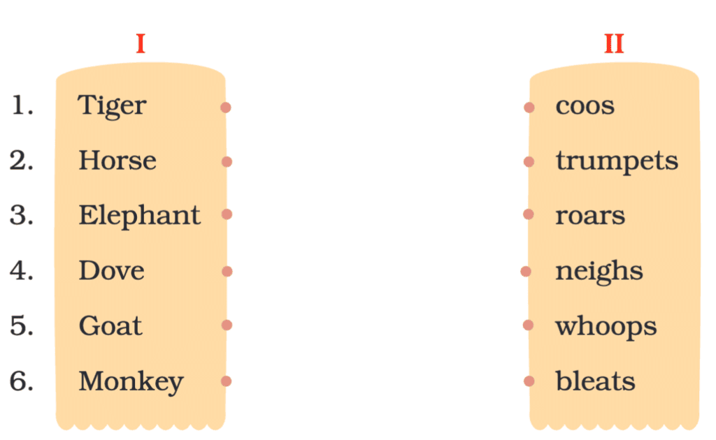 NCERT Solutions for Class 4 English Chapter 9 - Hekko