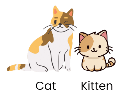 Notes: Animals - Their Babies, Sounds and Groups | English Olympiad for Class 3