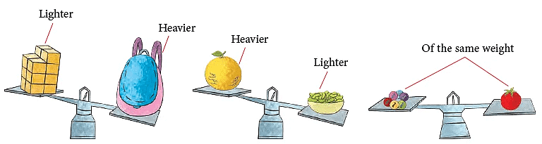 Measurement of Length and Mass | Mathematics for Class 2 (Joyful-Mathematics)