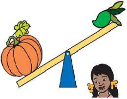 NCERT Solutions for Class 3 Maths Chapter 8 - Who Is Heavier