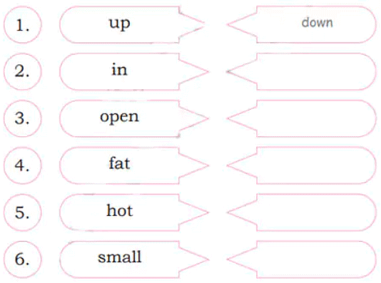 Picture Reading NCERT Solutions | English for Class 2 (Mridang)