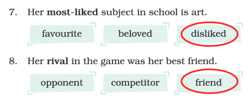 NCERT Solutions for Class 4 English Chapter 8 - The Lagori Champions