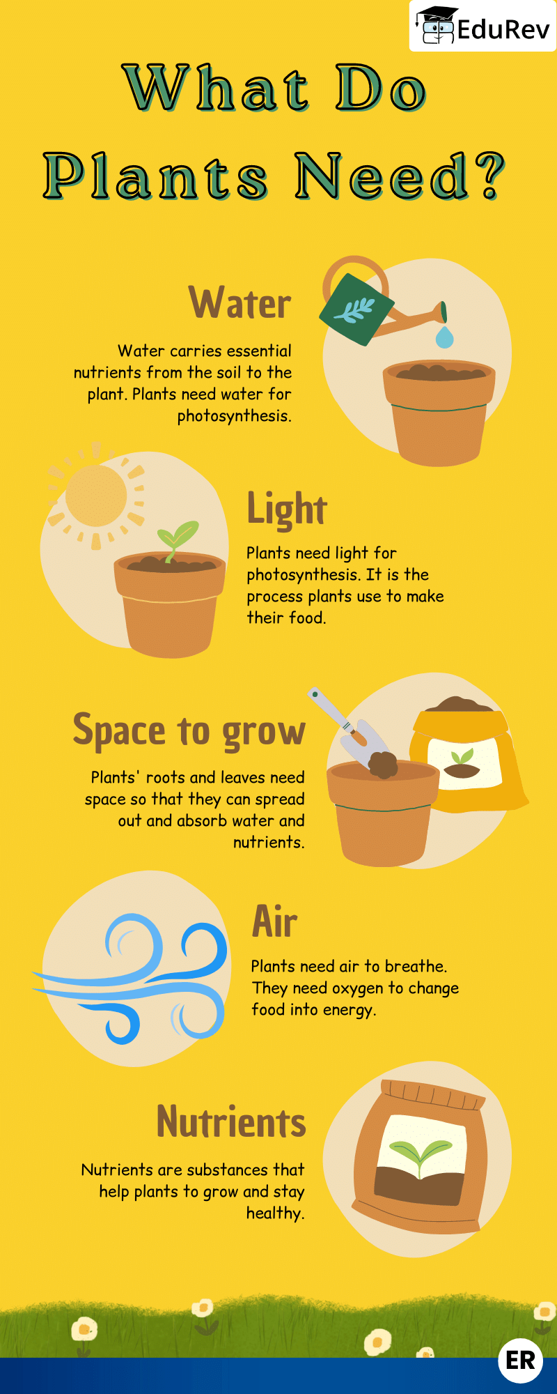 Learn at a Glance: What Plants need to Grow? | Science for Class 2