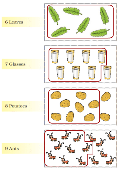 NCERT Solutions for Class 1 Maths Chapter 2 - Numbers from One to Nine