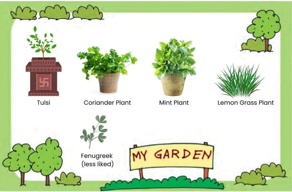 NCERT Solutions for Class 4 EVS Chapter 4 - Growing up with Nature