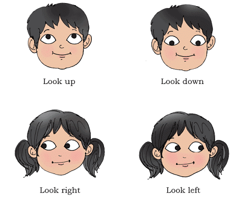 Seeing without Seeing NCERT Solutions | English for Class 2 (Mridang)