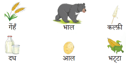 प्रश्नों के उत्तर लिखिए