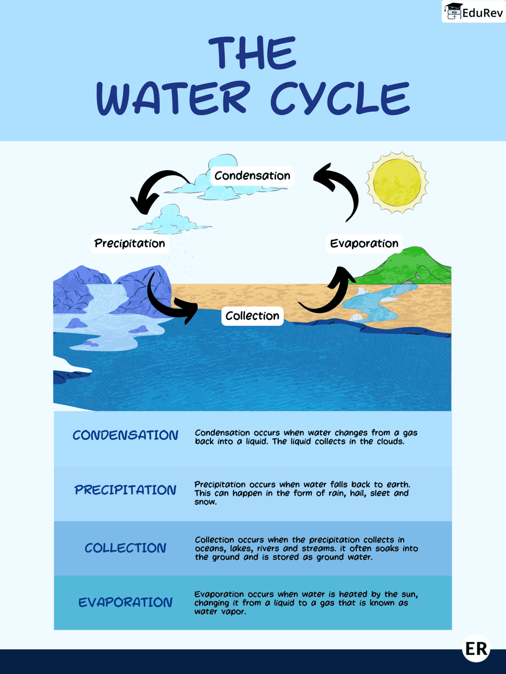 Learning Poster: Water Cycle | Science for Class 4