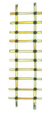 NCERT Solutions for Class 3 Maths - How Many Times