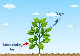 Weather, Water and Air - 2 Class 4 Worksheet Science