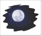 Sky Above Us Class 1 Notes Science
