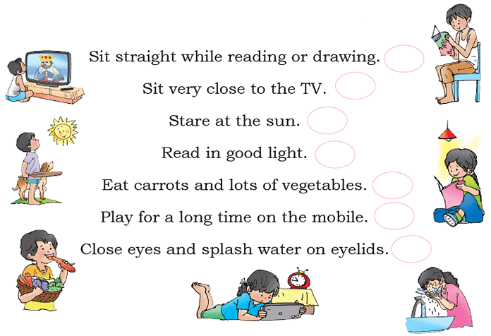 Seeing without Seeing NCERT Solutions | English for Class 2 (Mridang)