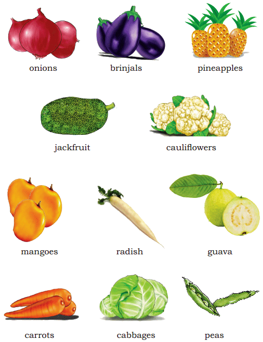 Fun with Pictures NCERT Solutions | English for Class 1 (Mridang)