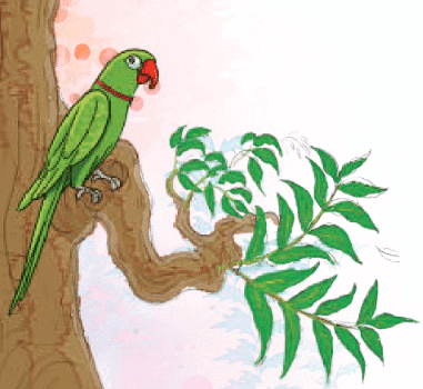 नीम Class 4 Notes Hindi Chapter 3 Free PDF