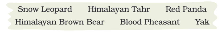 NCERT Solutions for Class 4 English Chapter 11 - A Journey to the Magical Mountains