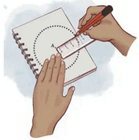 NCERT Solutions for Class 4 Maths Chapter 1 - Shapes Around Us