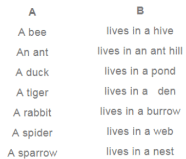 NCERT Solutions for Class 3 English Unit 7 - Little Tiger, Big Tiger