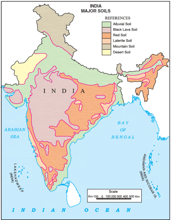 India – Major Soils