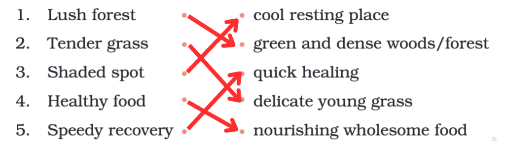 NCERT Solutions for Class 4 English Chapter 5 - The Old Stag