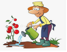 NCERT Solutions for Class 3 English Unit 1 - The Magic Garden