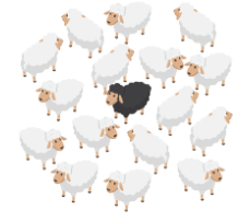 Practice Questions: Animals - Their Babies, Sounds and Groups | English Olympiad Class 1