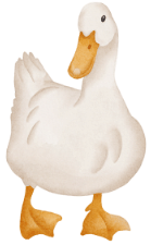 Practice Questions: Animals - Their Babies, Sounds and Groups | English Olympiad Class 1