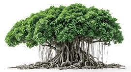 Worksheet Solutions: Trees, Plants, Flowers and Fruits | Spelling Bee - Class 1