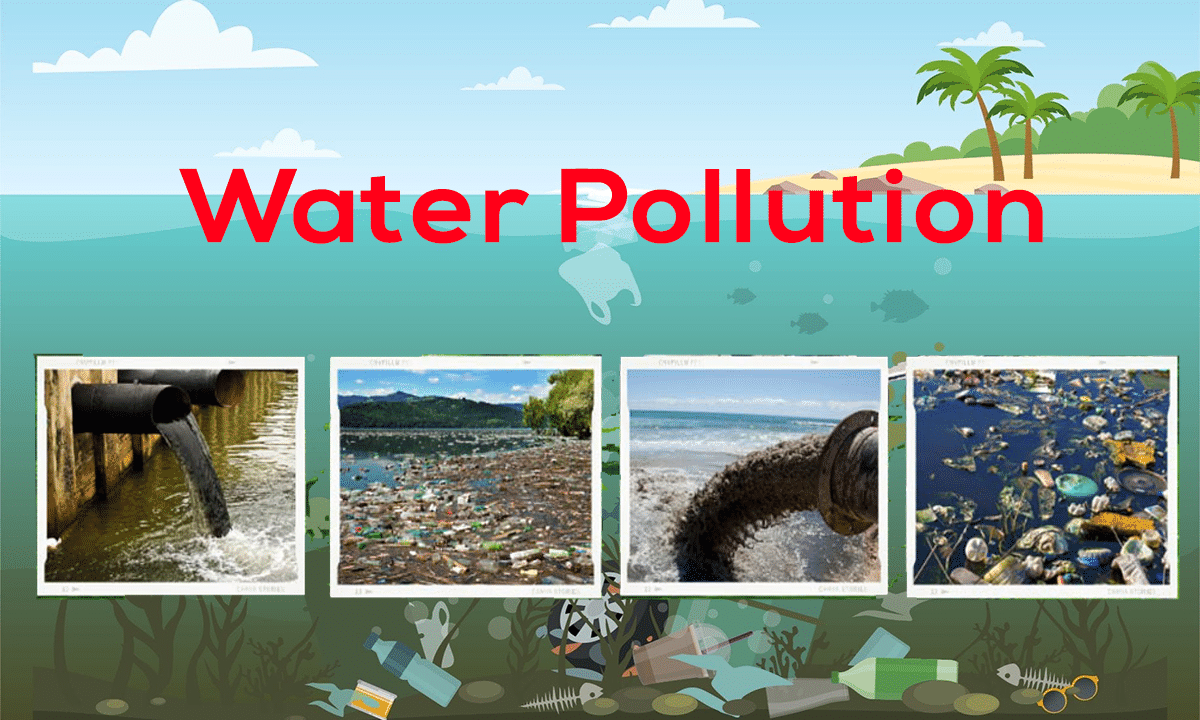 Green and Clean Earth Chapter Notes | Science for Class 4