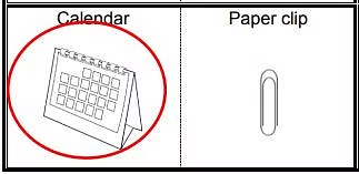 Worksheet Solutions: Lina’s Family (Measurement) - 1 | Worksheets with solutions for Class 1