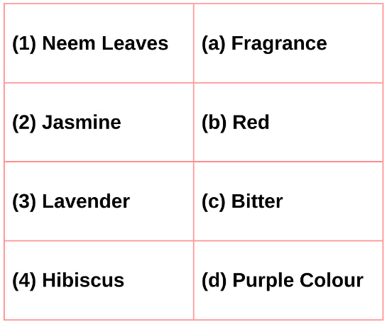 Worksheet Solutions: The Plant Fairy - 1 | EVS for Class 3