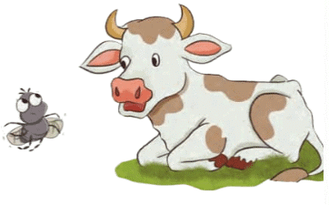 Short Answer Questions: My Name | English for Class 2 (Mridang)