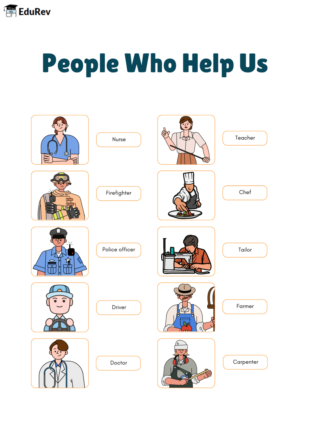Infographic: People Who help Us | EVS for Class 1
