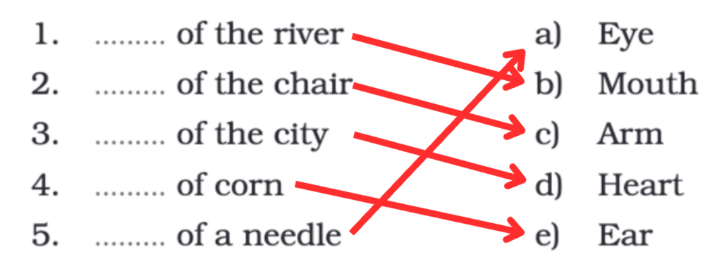 NCERT Solutions for Class 4 English Chapter 11 - A Journey to the Magical Mountains