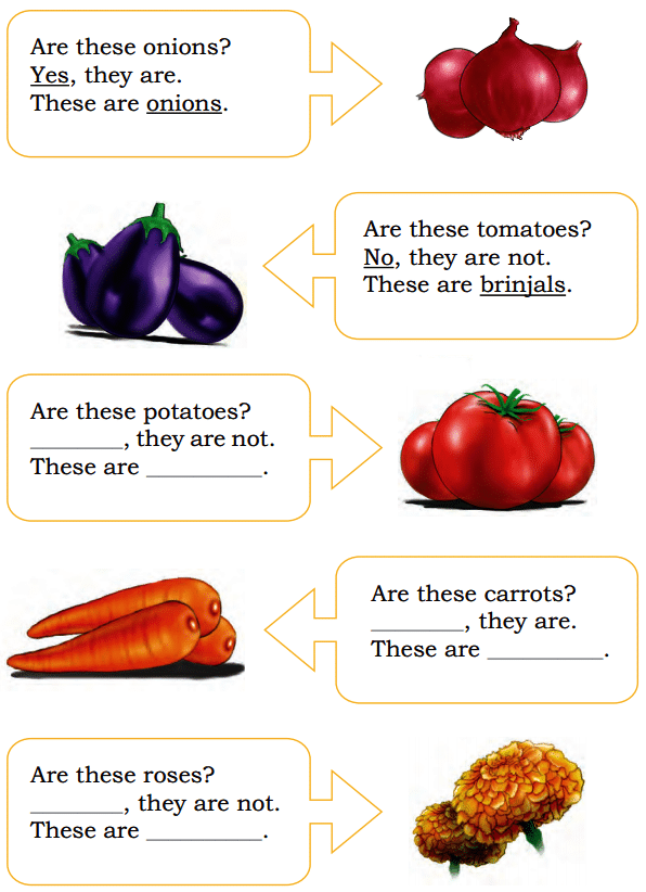 Fun with Pictures NCERT Solutions | English for Class 1 (Mridang)